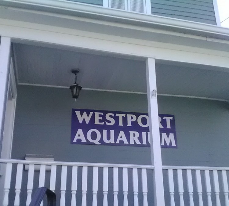 Aquarium of Westport (Westport,&nbspCT)